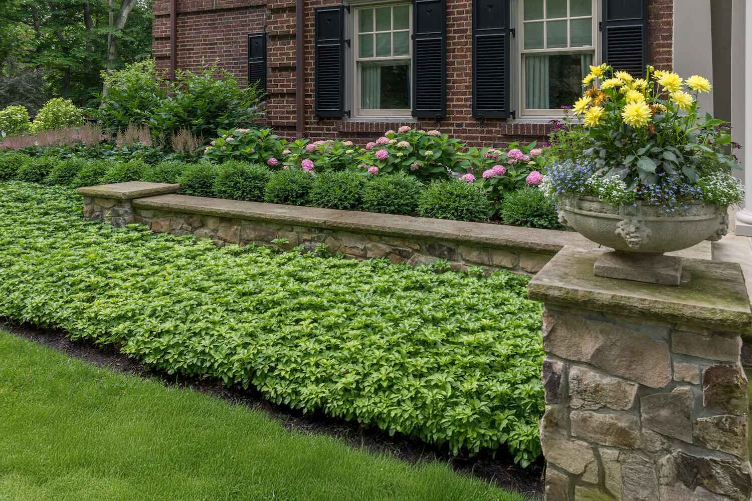 edge detailing lawn service near me in Aurora, OH