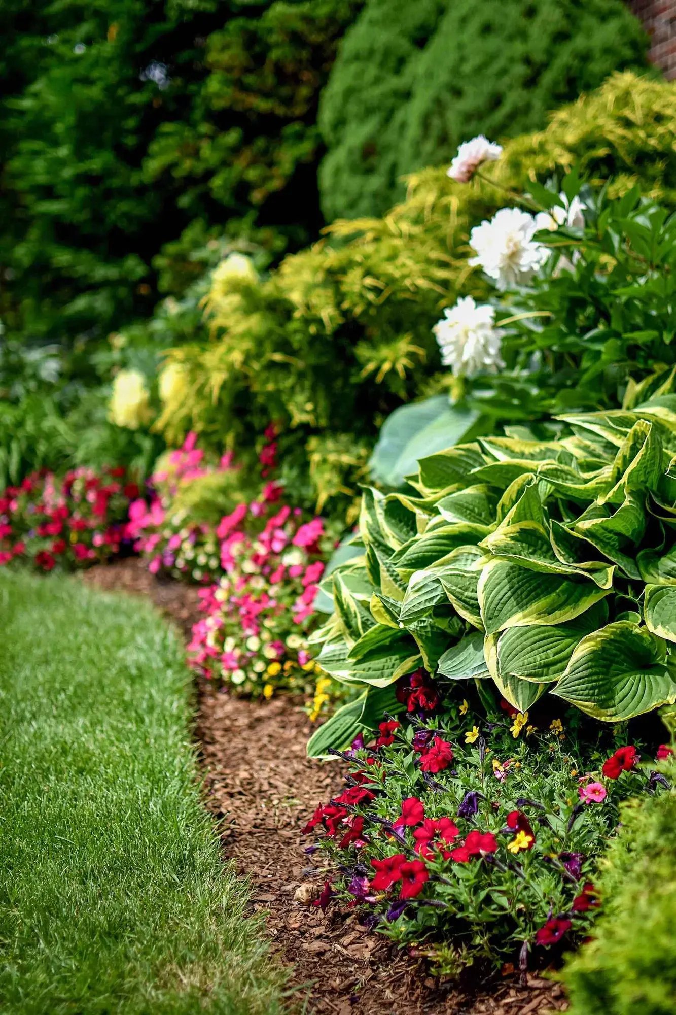 Expert perennial and annual planting in Aurora, OH for dynamic garden bed color