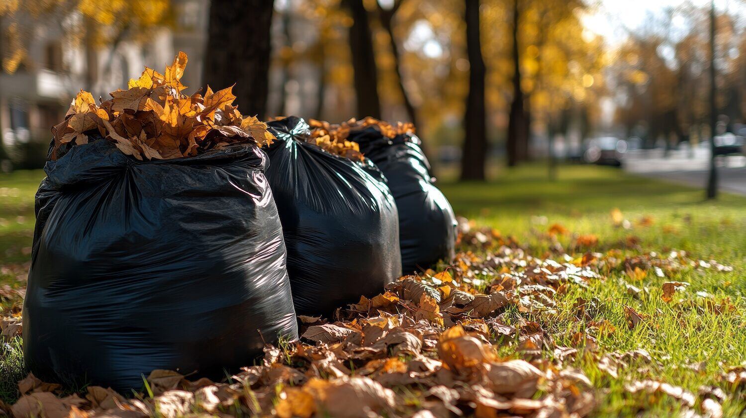 Professional fall yard cleanup in Novelty, OH keeping properties neat and healthy