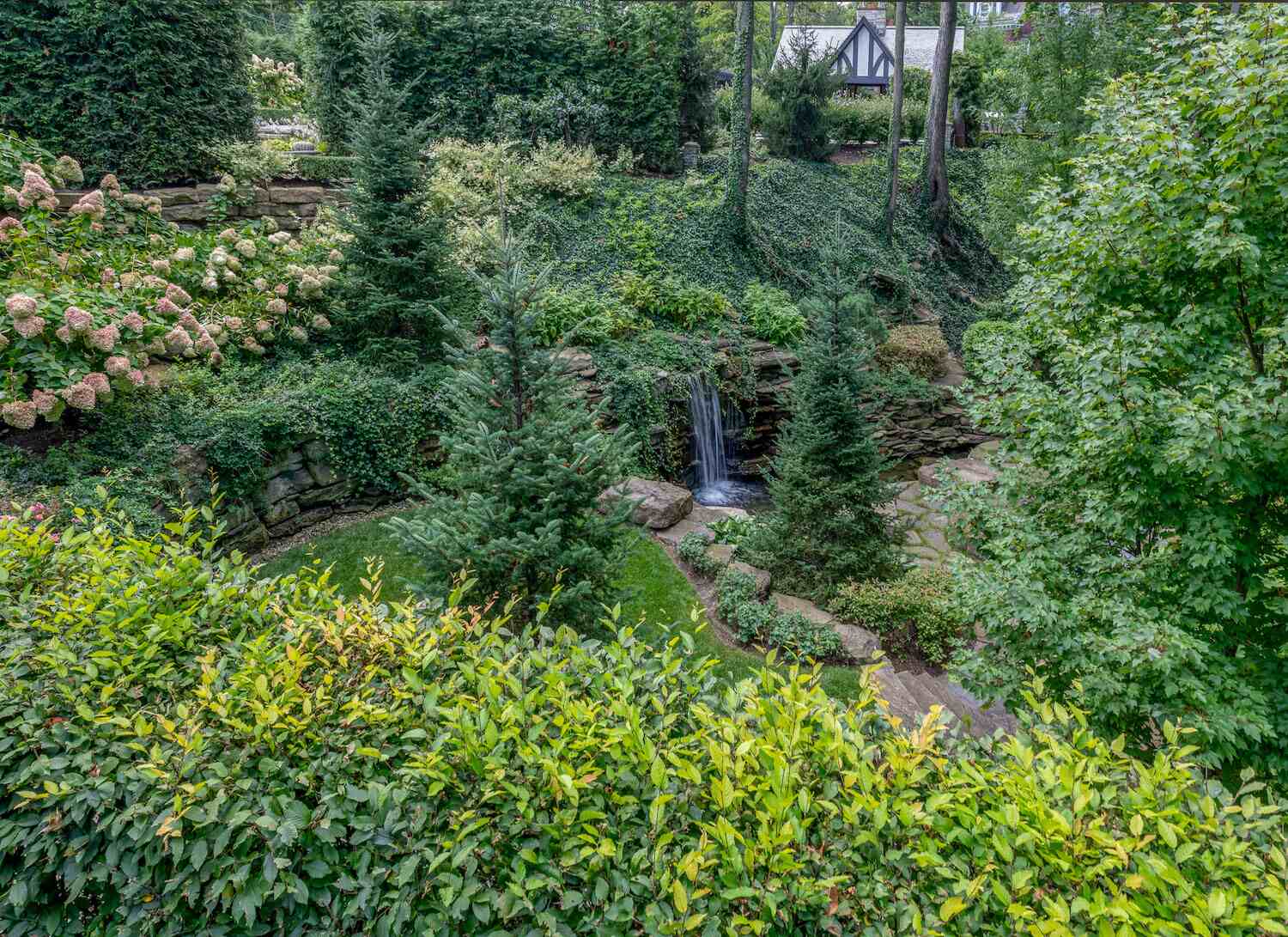 Tree and hedge shaping service in Orange, OH ensuring a balanced and attractive landscape.