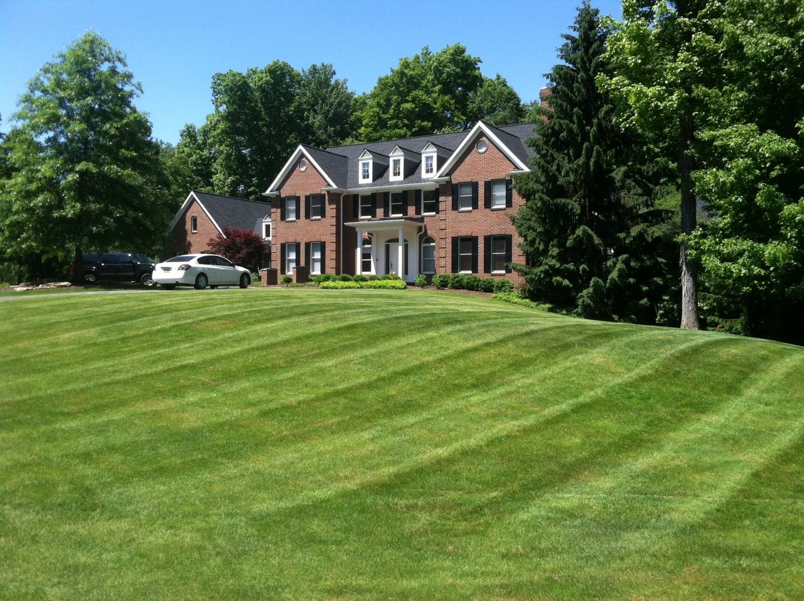  Drought-resistant lawn with deep root system from aeration and overseeding in Hudson, OH.