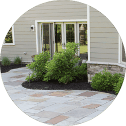 Landscaping Shrubs