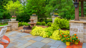 7 Tips To Keep Your Outdoor Plants Healthy and Alive