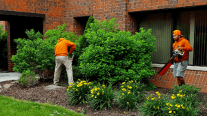 Can Commercial Landscaping Be Done in the Off-Season_