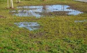 Four Common Landscape Problems and How to Prevent Them