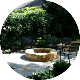 Choosing Right Plants