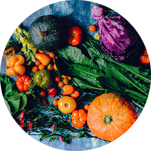 TOP 5 MISTAKES WHEN BUILDING AN EDIBLE LANDSCAPE