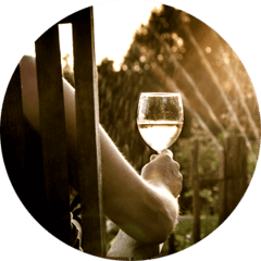 Person Holding A Beverage