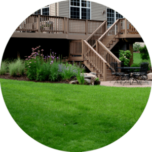 Home and Backyard