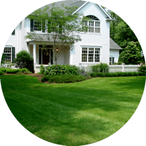 Home and Front Yard