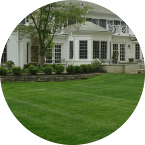 Home and Backyard