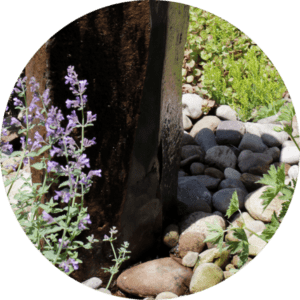 Stone Landscape