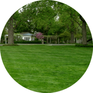 Large Yard