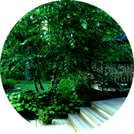 Paying Attention to Placement