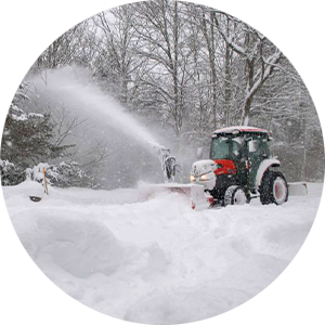 Company that Follows Through