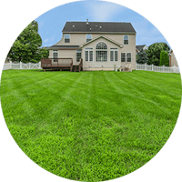 freshly mowed lawn