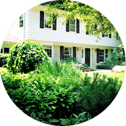 Trees and Shrubs