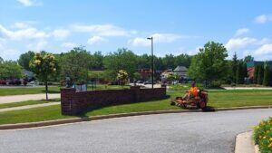 Emergency Lawn Upkeep and Plant Replacement Services