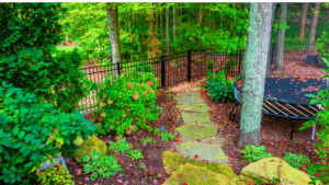 Essential Elements for Plant Growth