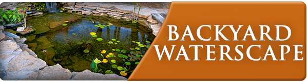 Exscape-BlogBannerBackyardWaterscape-June2015