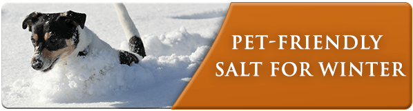 Exscape-BlogBannerPetFriendlySalt-Nov14