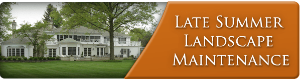 Exscape-Graphics-LateSummerLawnMaintenance-Aug15