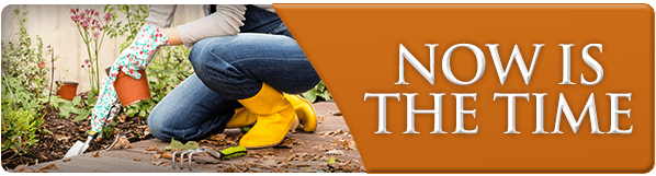 exscape-graphics-nowisthetime-oct16