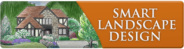 Smart Landscape Design Strategies