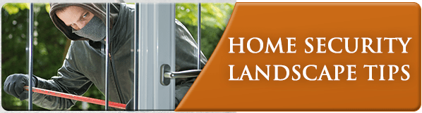 Exscape-HomeSecurtiyLandscapeTips-Jan15