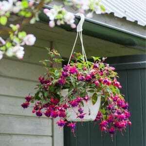 Hanging Gutter Garden