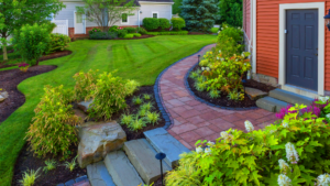 Is it Possible to Revive a Dying Plant