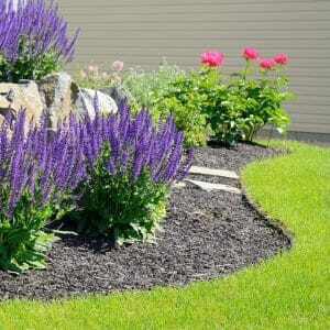 Plant Placement Design