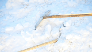 Snow Removal Cost per Visit