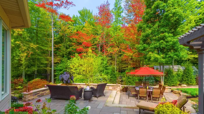 What Separates a Tree from a Shrub_