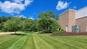 What Does Commercial Landscape Management Consist Of?