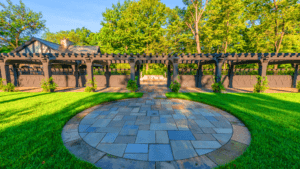 What is the Best Type of Lawn Grass for Your Lawn_