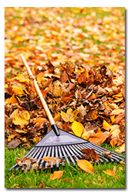Fall Maintenance