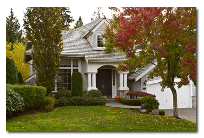Fall Landscape 