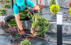 Integrating Irrigation into Landscape Design