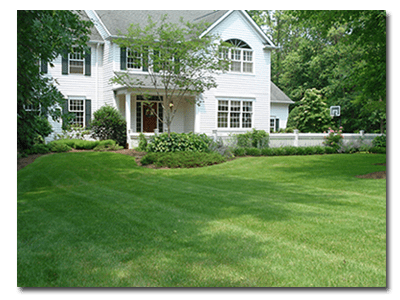 Exscape Design Landscaping