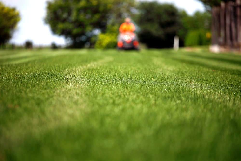Professional lawn mowing service in Northeast Ohio with perfectly manicured grass, mature trees, and garden beds.
