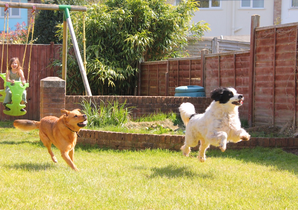 Family enjoying their beautifully maintained lawn in Greater Cleveland without the mowing hassle.