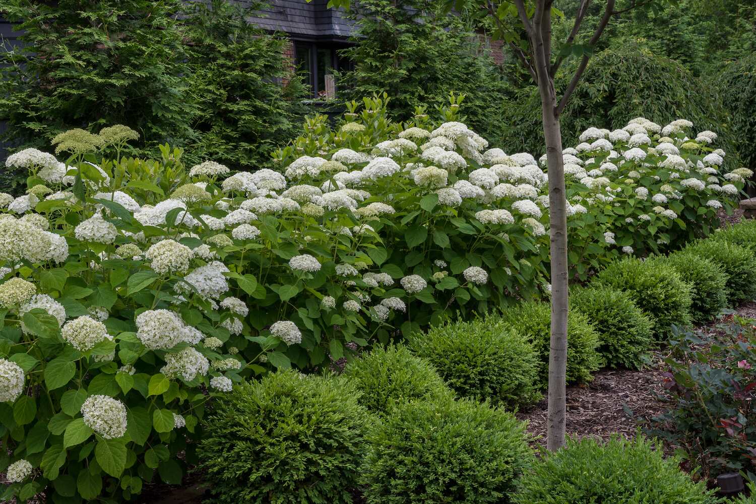 Landscape maintenance in Auburn Township, OH keeping garden beds fresh and healthy