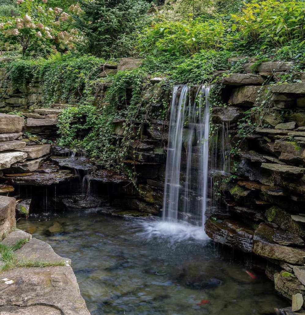Outdoor koi pond in Gates Mills, OH creating a beautiful and low-maintenance water feature-1
