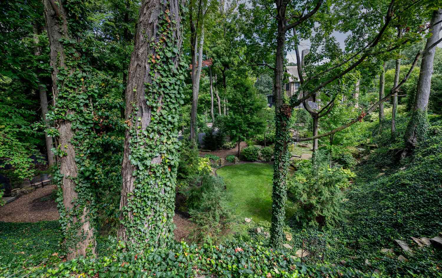 Professional tree care in Hudson, OH including trimming, pruning, and fertilization