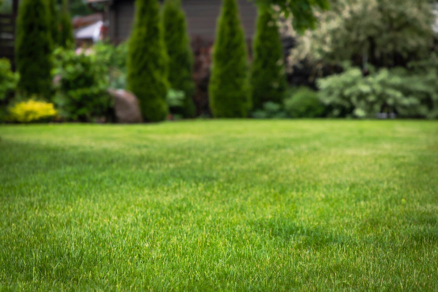 Year-round commercial landscaping in South Russell, OH