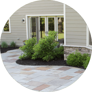 How to Keep Your Trees and Shrubs Thriving - Exscape Designs