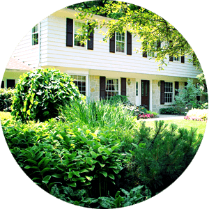 How to Keep Your Trees and Shrubs Thriving - Exscape Designs