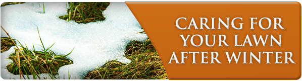 Caring For Your Lawn After Winter