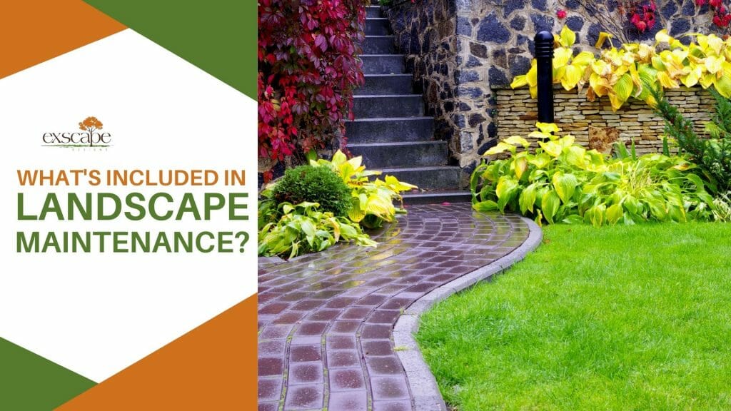 Ultimate Guide to Landscape Maintenance